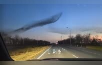 山东东营黄河口成“鸟类国际机场”，网友拍下“鸟浪化鲲”直呼“太震撼”