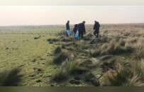 鄱阳湖湿地有人投有毒谷物杀鸟？志愿者发现上百处毒饵投放点及鸟类尸体，警方介入