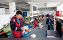 政府被“骗”，9500万去哪了？