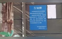 政府被“骗”，9500万去哪了？