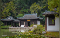 只此镇江丨解码镇江的“小而精”与“大而远”