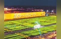 镜头里的河南丨你好 2026——节日中的河南色彩