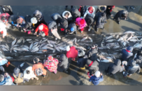 “雪映肇东 福鱼献瑞”丨库塘沐第八届冬捕渔猎文化节启幕