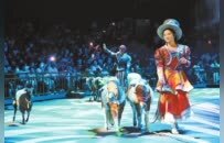 山水之外 何以周口——一座内陆平原城市的文旅新章