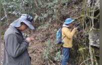 新记录的苔藓类群，如何破译江西生态持续向好微观密码？