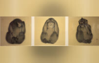 全国百名女画家作品在萍乡展出（图）