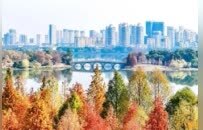 游玩体验升级！南昌象湖景区西入口改造后投用