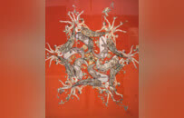 全国百名女画家作品在萍乡展出（图）