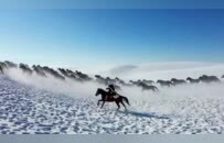 网红县长贺娇龙离世，“我想抱抱停不下来的自己”