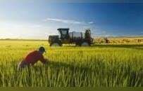 受尽“美国51州”羞辱，加拿大总理时隔8年访中国