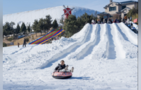 雪上飞舞 趣味拉满！“神奇栾川·国宝冰雪奇遇记”奇遇多多