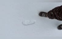 湖北多地积雪达10—15厘米