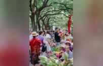 总分第一！苏州当选2026年“东亚文化之都”