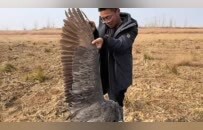 博主曝光鄱阳湖湿地被投毒：现场发现数十只鸟类尸体