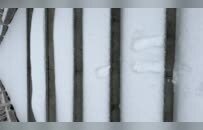 湖北多地积雪达10—15厘米