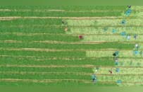 66632.79亿元！增长5.6%！