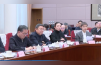 总理召开今年首场座谈会，“80后”闫俊杰、周莉亚，“90后”石宇奇等参会