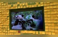 旅日大熊猫最后一天开放参观，大批民众前往送别，留言写满整面墙