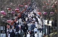 徐州云龙：一条彭城七里，万千新春滋味