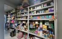 萍乡安源区掘金宠物经济新蓝海 让“它经济”成高质量发展新动能