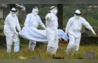 印度尼帕病毒爆发，死亡率极高，会波及中国么？