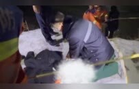 两小伙凌晨双双落水，男子冒险冰面匍匐施救