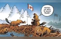 美国又开干加拿大，中国无奈躺枪