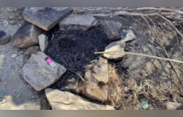 20人擅闯大理苍山未开放区域被立案调查，由“黑向导”招揽