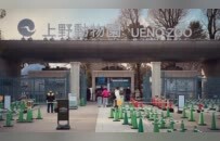 旅日大熊猫最后一天开放参观，大批民众前往送别，留言写满整面墙