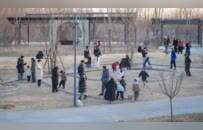 这个郊野公园，挤满了中登