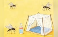 河南发布春节假期健康提示