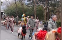 十骏送福 萌兽闹春  青岛森林野生动物世界解锁马年新春文旅新体验