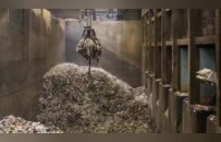 中国有多猛，把垃圾的价值也榨尽了