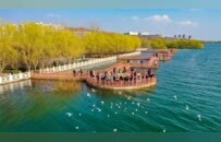 一本水账 万卷绿图——河南水资源税改革八年的治理启示