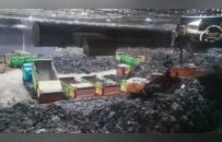 中国有多猛，把垃圾的价值也榨尽了