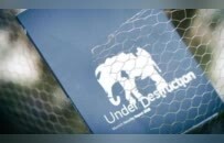 鲁比奥取消与欧盟会晤，欧洲不再装睡，慕安会报告矛头直指美国