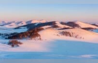 没见过雪的南方人，都在内蒙这里玩疯了