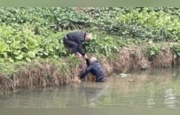 去运动路上，7旬退伍老兵救下8旬落水老人