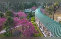 岭南第一禅林南华禅寺：六祖弘法圣地，藏三尊大师真身丨厦门云游寺院摄影展