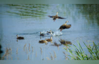 只此青绿，徐州的“执念”