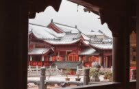 一场雪，将黄州安国寺盛唐余韵尽归素白禅心丨厦门云游寺院摄影展