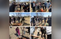 江西师大科技学院开展“廿五芳华薪火续，植树育人启新程”植树节主题活动