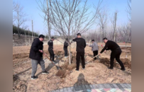 徐州“多彩新绿”，为何能凝聚一城力量？