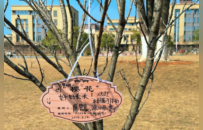 江西师大科技学院开展“廿五芳华薪火续，植树育人启新程”植树节主题活动