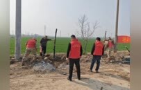 徐州“多彩新绿”，为何能凝聚一城力量？