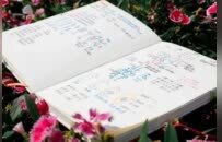 太惊艳！赣州一高中女生手绘笔记走红 网友：这才是学习该有的样子