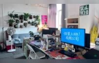 假装上班公司，风靡全国各地