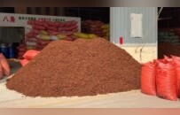 广西：全区紧急排查整治