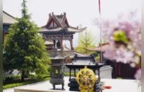 去兰州除了吃拉面，必去明代梵刹报恩寺丨厦门云游寺院摄影展