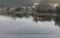 会昌一对母子落水，身为辅警的他义无反顾纵身一跃